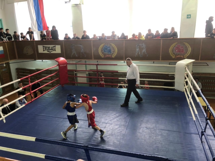 В Борзе стартовал XXIV традиционный, межрегиональный турнир по боксу имени Юрия Саранина 